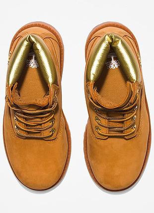Чоботи timberland 6-inch premium boot 3