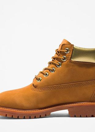 Чоботи timberland 6-inch premium boot 4