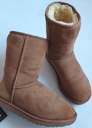 Оригинальные угги ugg р37 на ножку до 23см