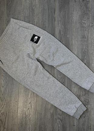 Спортивные штаны the north face