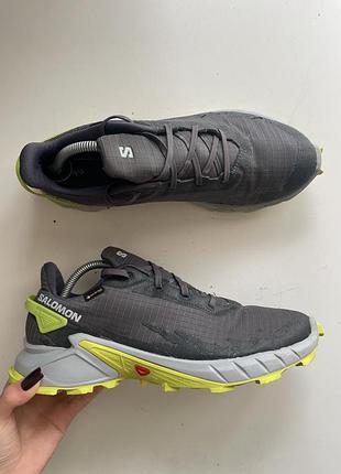 Кросівки salomon alphacross 4 gtx