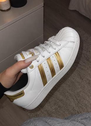 Кросівки адідас superstar