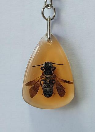 Брелок с настоящей пчелой megachile sculpturalis в смоле