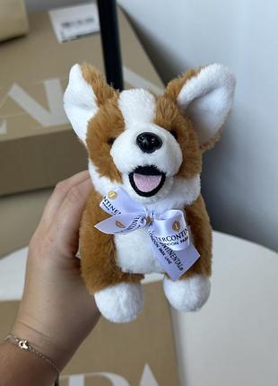 Новая игрушка корги ❤️london