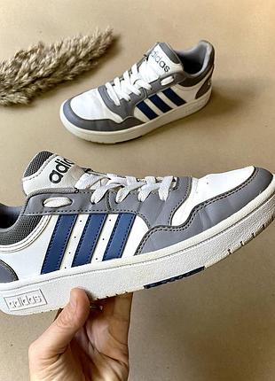 Кросівки жіночі adidas hoops 36,5 розмір устілка 23 см | білі