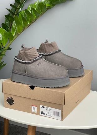 Жіночі угги ugg tazz sock grey