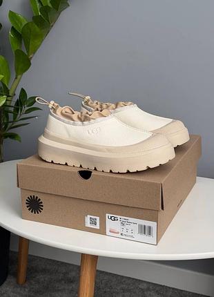 Жіночі угги ugg tasman hybrid beige