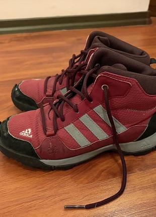 Трекінгові черевики adidas бордові