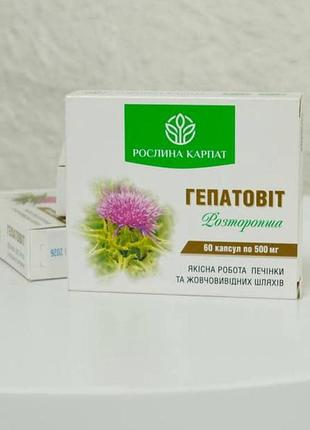 Фіто комплекс для відновлення клітин печінки та жовчевого