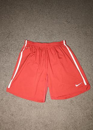 Спортивные шорты nike dri-fit (размер l)