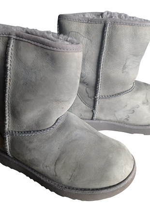 Женские угги замшевые средние серые ugg classic short