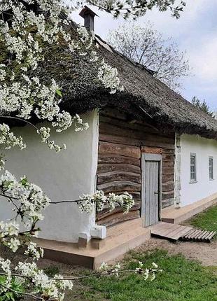 Алмазная мозаика вышивка на подрамнике 5d украинская хата под стрехой весенний пейзаж с цветущей вишней 30х40 см s20024