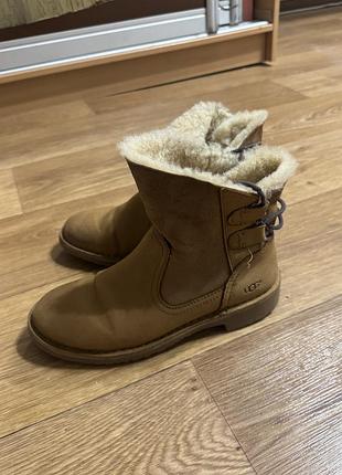 Черевики жіночі ugg, розмір 36