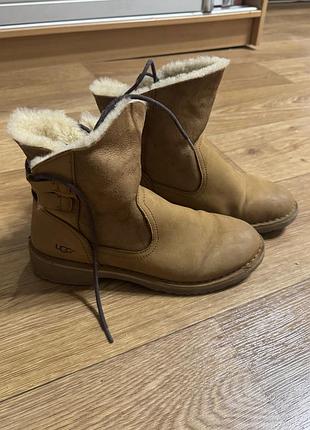 Черевики жіночі ugg, розмір 36 5
