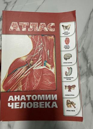 Атлас анатомії людини