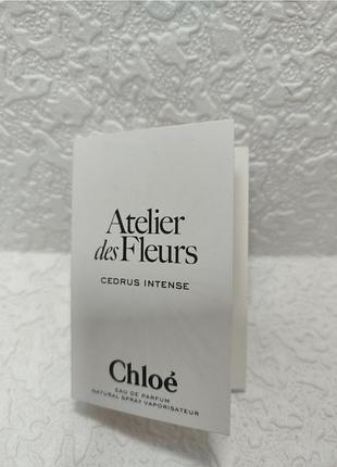 Парфюмированный пробник chloé atelier des fleurs cedrus intense
 1.2мл