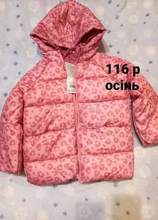Куртка для девочки 116 размер