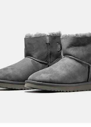 Жіночі сірі уггі ugg моделі mini bailey bow 38розміру 24см
