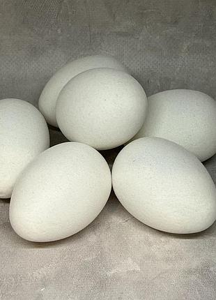 Яйце куряче (флокове покриття), білий, 6,5×4,5 см, упаковка 6 шт, арт 020146, білий