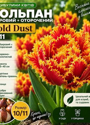 Тюльпан махровый + окружённый gold dust 10/11