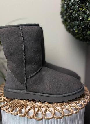 Кросівки чоловічі ugg classic short ii (40 (26 см))