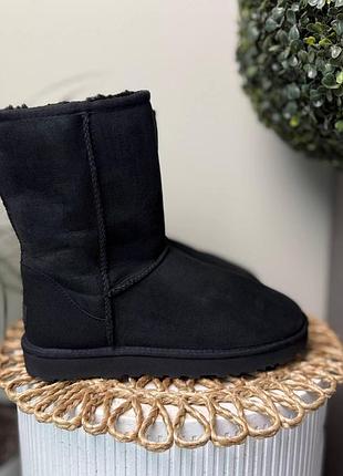 Кроссовки мужские ugg classic short (42 (28 см))
