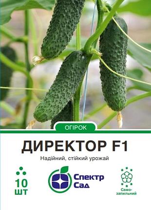 Огірок директор f1, 10 шт, спектр сад