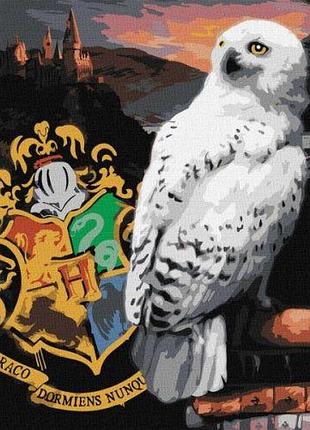 Картина за номерами - harry potter: гедвіґа та гоґвортс ©warner bros.