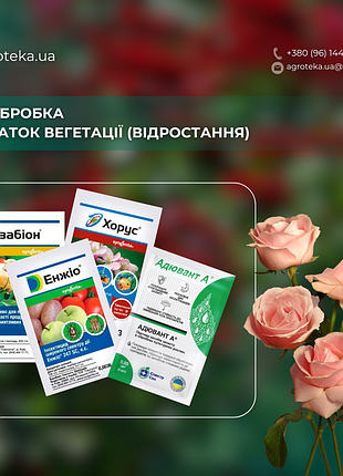 2-а обробка троянд