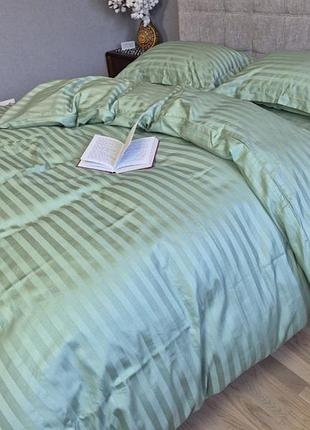 Stripe premium, garden mint 2/2см (семейный)