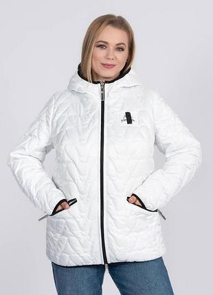 Демисезонная куртка двусторонняя женская большого размера 48-68 айвори 50