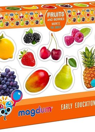 Набор магнитов magdum "фрукты и ягоды" 25шт. реальные фото (ml4031-11 en)