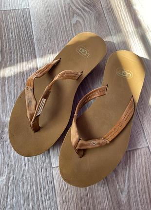 Шльопанці ugg