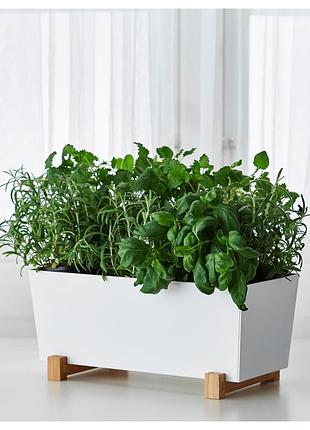 Квітковий горщик bittergurka ikea 802.857.87
