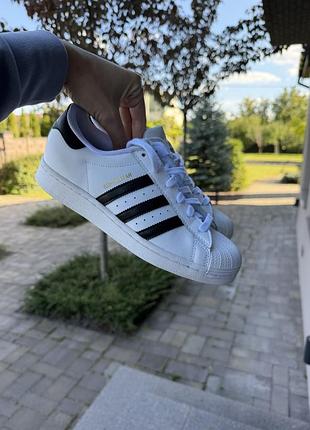 Шкіряні кросівки adidas superstar original (адідас суперстар)