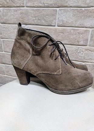 Замшеві ботильйони scholl 2