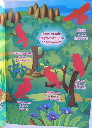 Большая книга наг 2