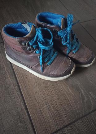 Черевики унісекс clarks хайтопи коричневі з синіми шнурками