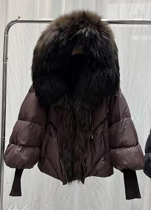 Куртка из новой коллекции 5