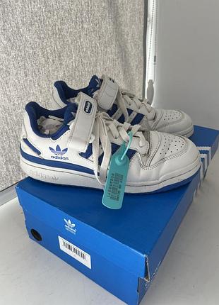 Кросівки adidas forum low білі з синім