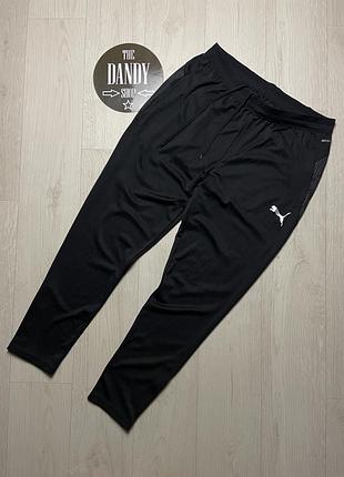 Мужские спортивные штаны puma drycell, размер l