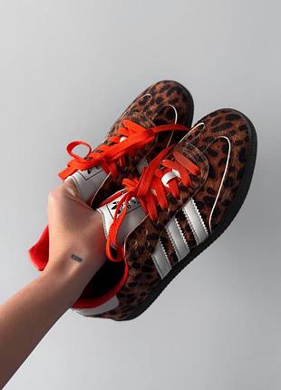 Кроссовки женские adidas samba og preloved red leopard