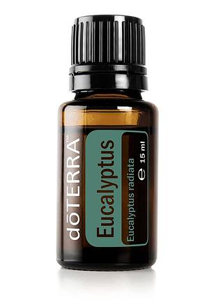 Eucalyptus oil | ефірна олія евкаліпту