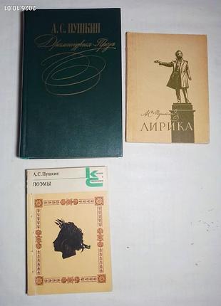Книга пушкин, лирика, поэзия медный всадник, драмы, проза, стихи, поэмы, медный всадник