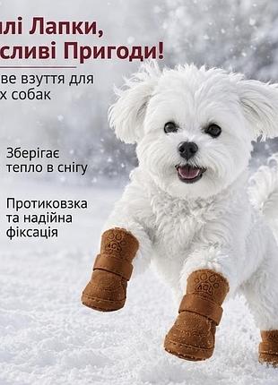 Взуття для собак зимове