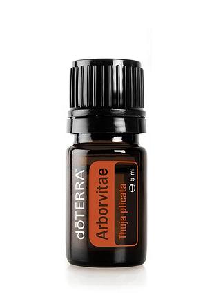 Arborvitae oil | ефірна олія туї