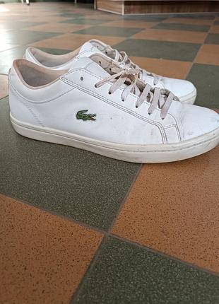 Кросівки lacoste