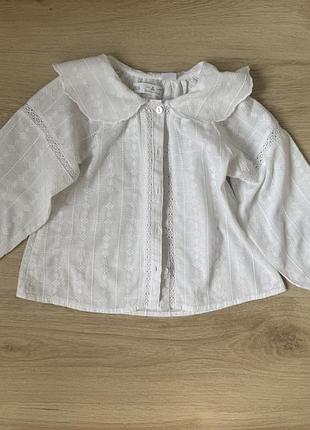 Блузка zara, 110 см, 5 років