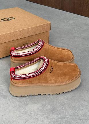 Ugg tasman platform chestnut угги
