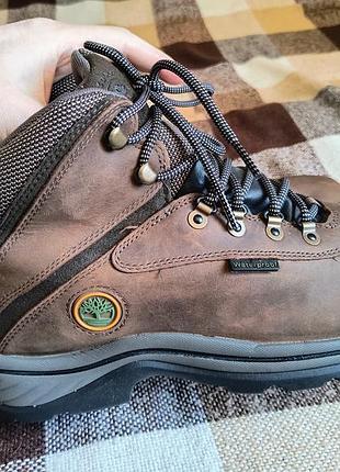 Черевики timberland white ledge waterproof 5